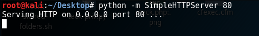 python server